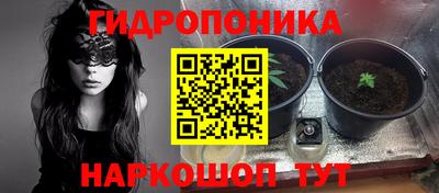ГАЛЛЮЦИНОГЕННЫЕ ГРИБЫ Жуковский