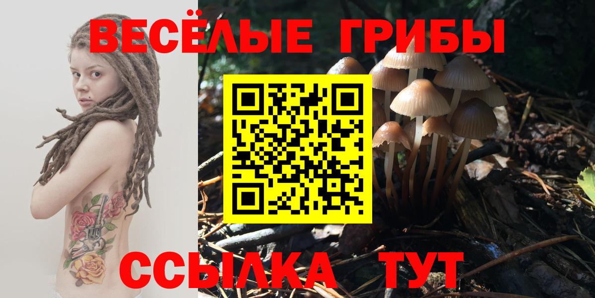 Галлюциногенные грибы ЛСД  наркотики  Мурманск  Псилоцибиновые грибы GOLDEN TEACHER 