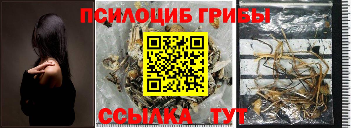Галлюциногенные грибы GOLDEN TEACHER Мурманск