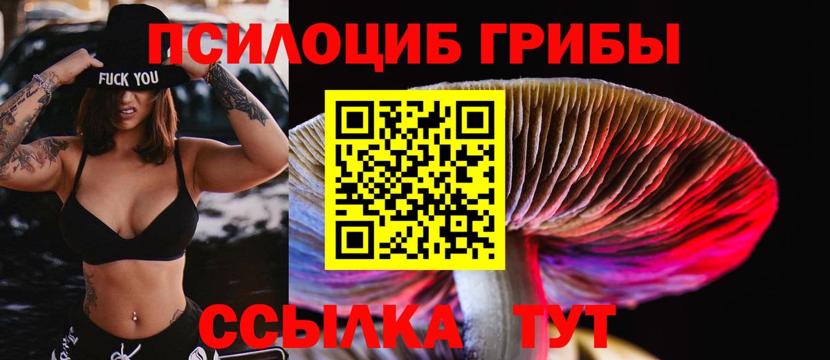 Галлюциногенные грибы Psilocybine cubensis  магазин    Галлюциногенные грибы GOLDEN TEACHER  Мурманск  Вход с VPN 